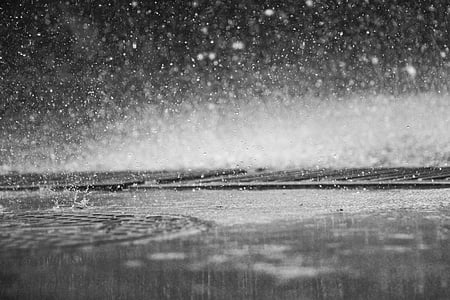 greyscale photography of rain drops