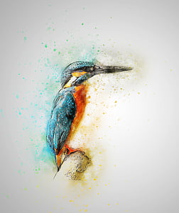 River kingfisher painting