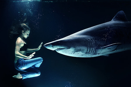 edited underwater photo of woman wearing blue jeans water with shark