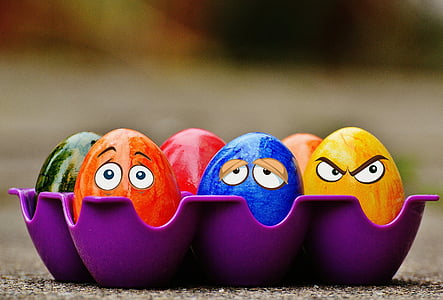 six assorted-color eggs in purple egg tray