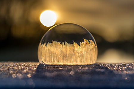 frozen bubble shallow photo graphy