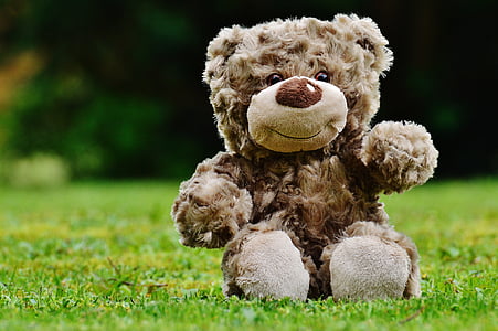 brown bear plush toy on the green grass field