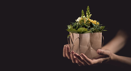 person holds brown paper bag with flower plants