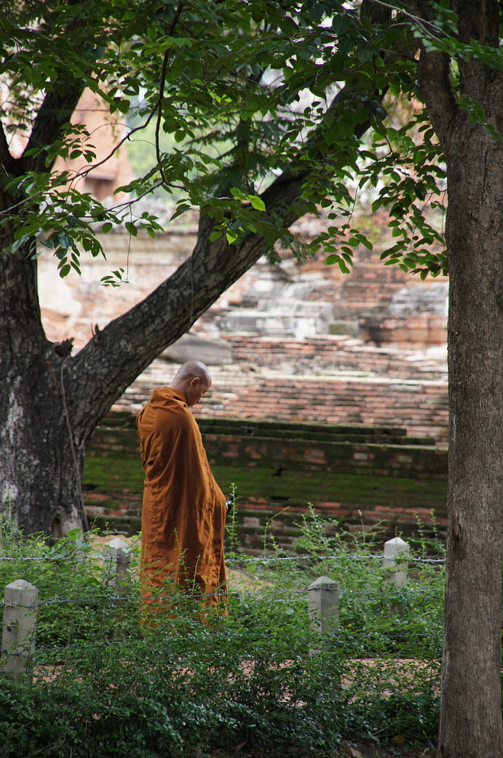monk beside the tree