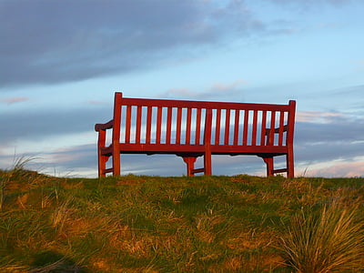 brown bench on green grass field
