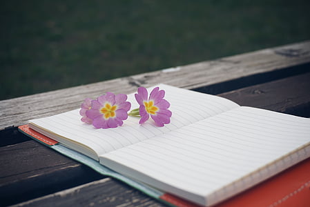 three purple petaled flowers on witting notebook