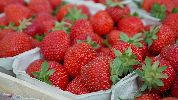 red strawberry fruits