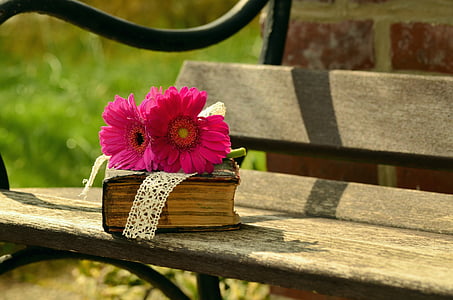 pink Gerbera daisies on brown hardbound book on brown wooden bench