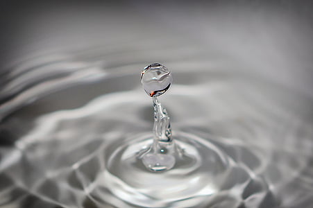 close up photography of water drops