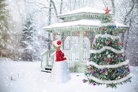female in red dress in front of Christmas tree and gazebo during winter
