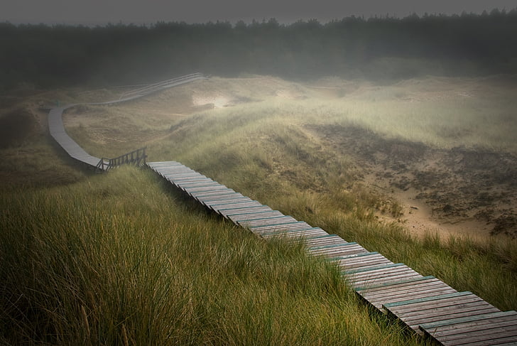 high angle photo of brown wooden pathway on mountain range