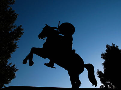 silhouette photo of man riding horse near tree
