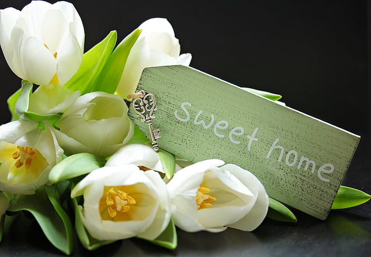 white tulips with sweet home text overlay