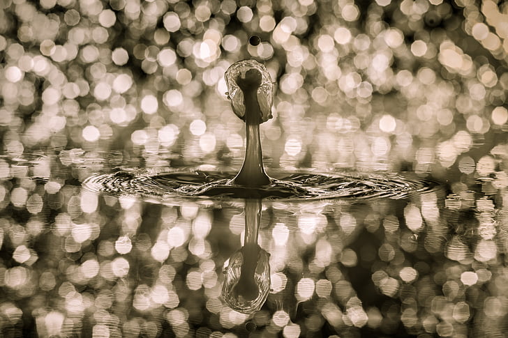 waterdrop macro photography