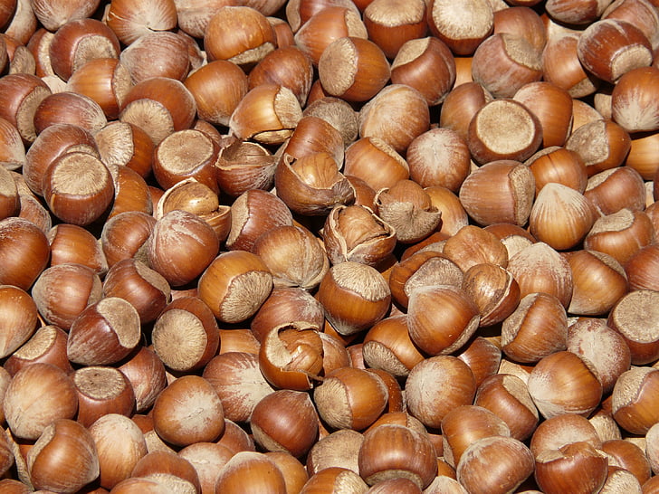 pile of chestnuts