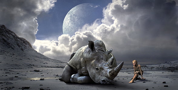woman sitting beside gray triceratops dinosaur 3D wallpaper