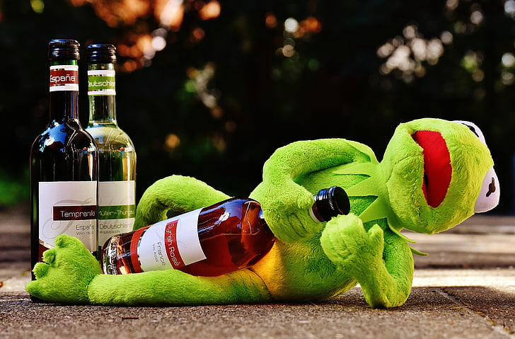 Kermit the Frog holding wine bottle