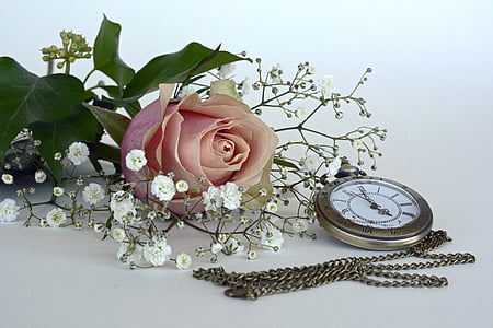 pink rose and round silver-colored pocket watch